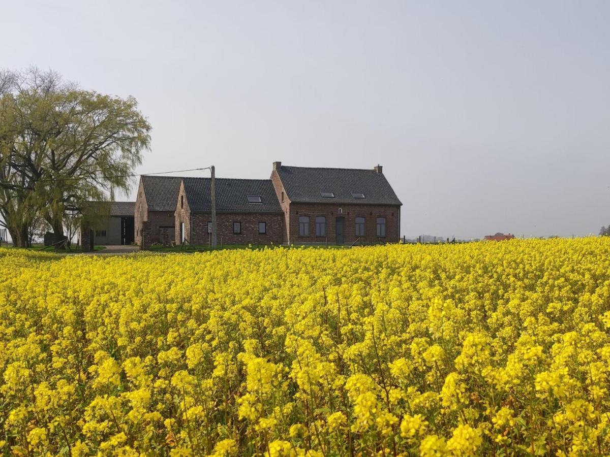 Spacious Holiday Home With Pond In Poperinge Roesbrugge-Haringe Exterior photo